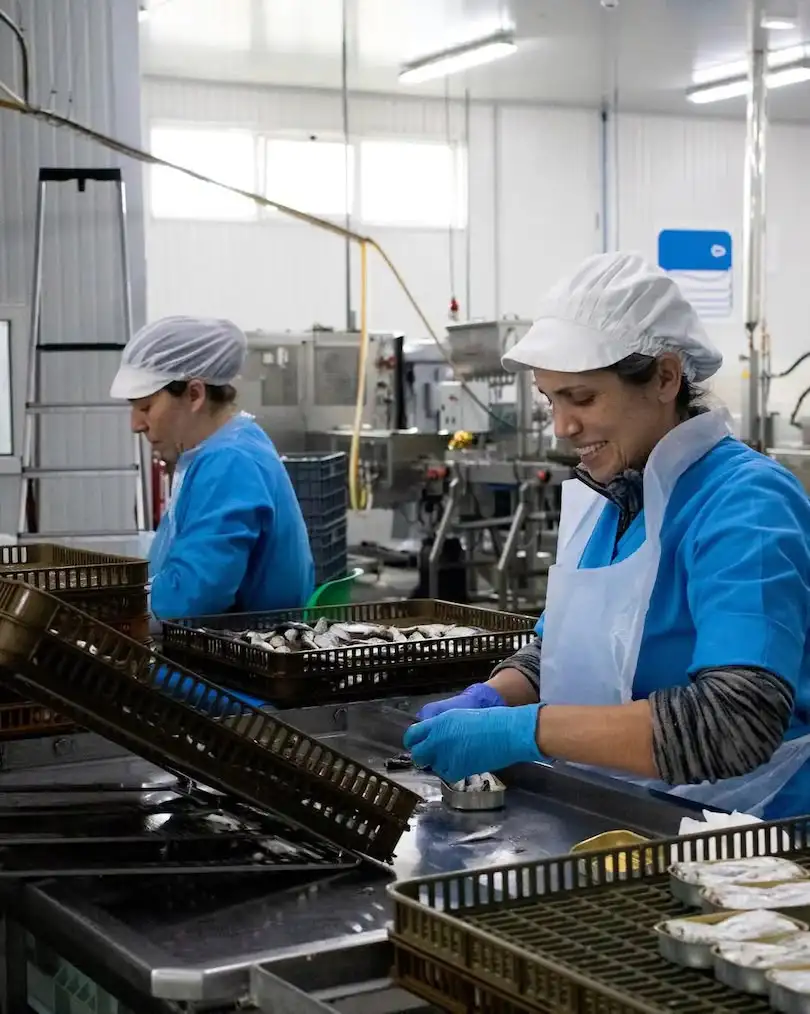 Medewerksters bij JOSE Gourmet pakken sardines met de hand in blikken